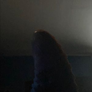 Meet your Posher, Jaime